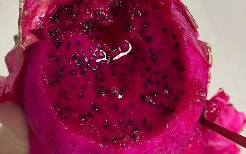 Close-up of a pink dragon fruit piece with seeds, part of a mixed food lifestyle fashion photography collection 12